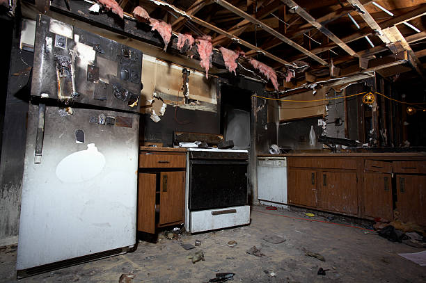 Affordable Fire Damage Removal solutions in Brinklow, MD